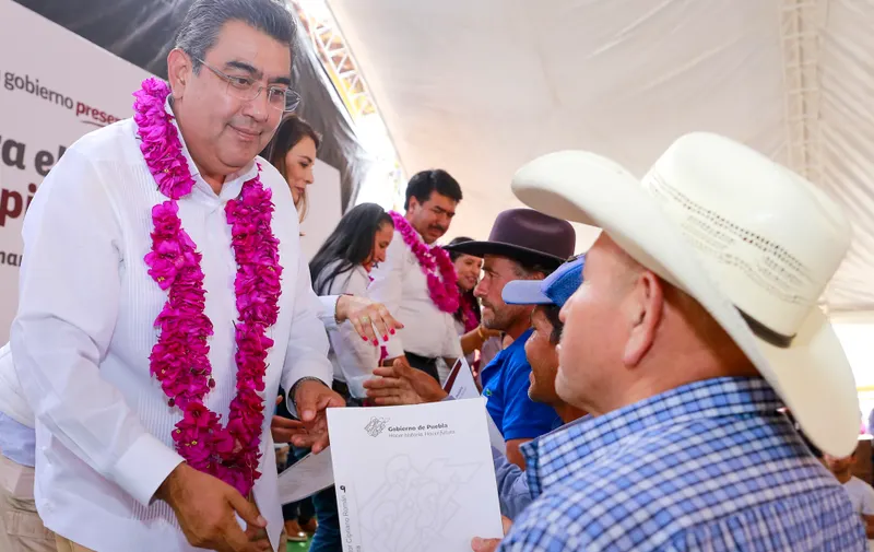Imagen del artículo