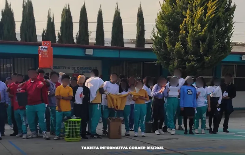 Imagen del artículo