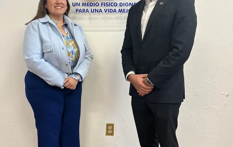 Imagen del artículo