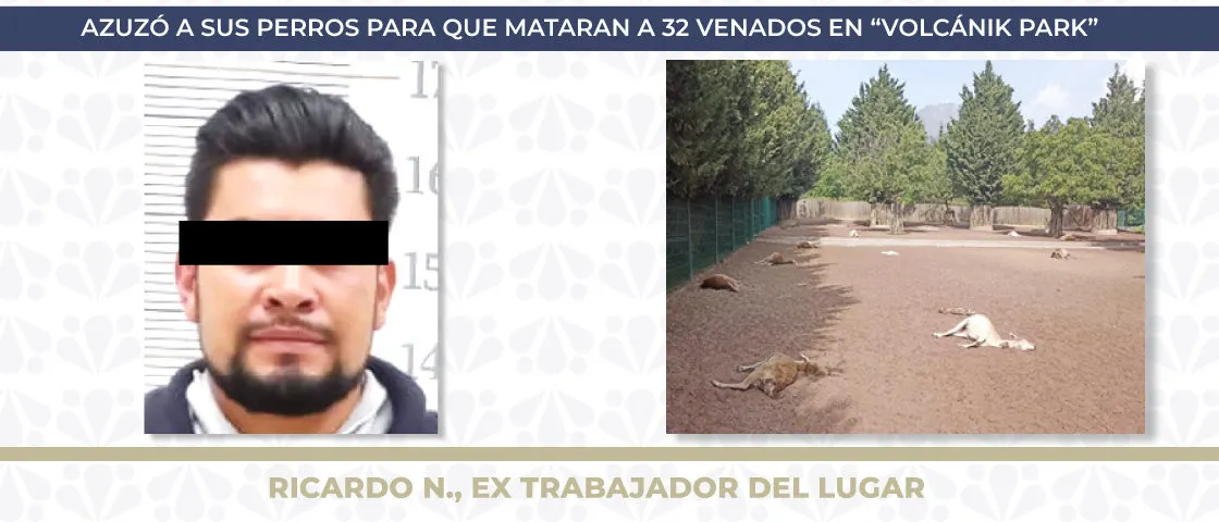 Sujeto sentenciado por crueldad animal