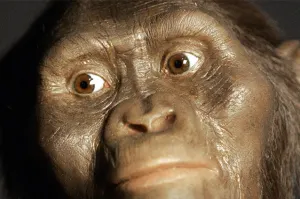 Se resuelve el misterio de cómo murió Lucy