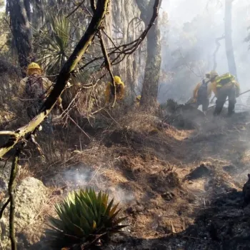Liquidados nueve de 12 incendios registrados en Puebla