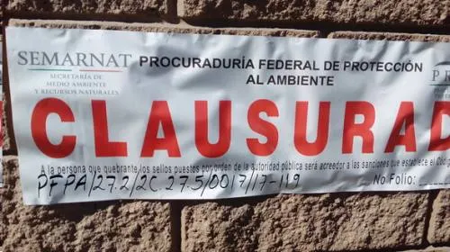 Clausura Profepa construcción de barda en cauce de una barranca, sin autorización federal