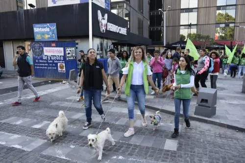 Promueve Partido Verde trato digno a los animales