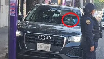 Asesinato Ximena Guzman Calzada De Tlalpan