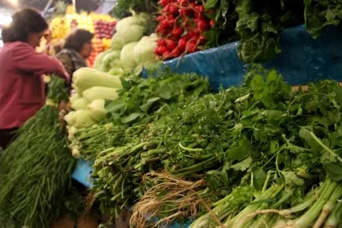 Se desploman 50% las ventas de hortalizas y legumbres: Productores