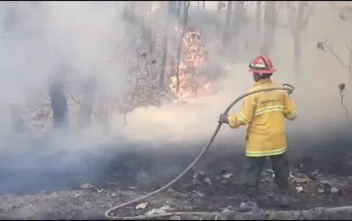 Otro incendio en La Primavera; se quemaron cinco hectáreas