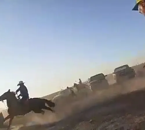 Atacan a ‘polis’ con piedras y palos en carrera clandestina de caballos