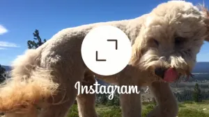Instagram ya permite crear fotos y videos en formato rectangular