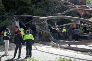 Ayuntamiento de Puebla refuerza labores de vigilancia y monitoreo ante ráfagas atípicas de viento