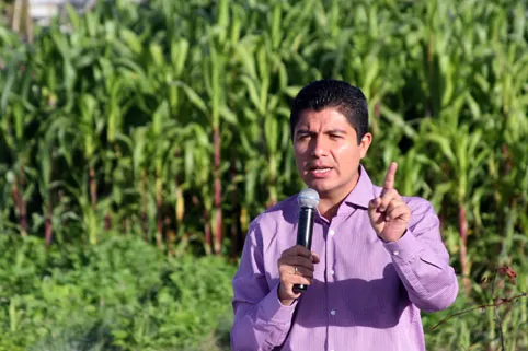 Despedirían a quien alteró declaración de Montiel: Rivera