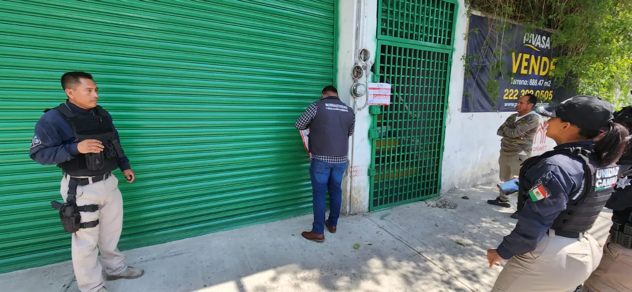 Cine para adultos
