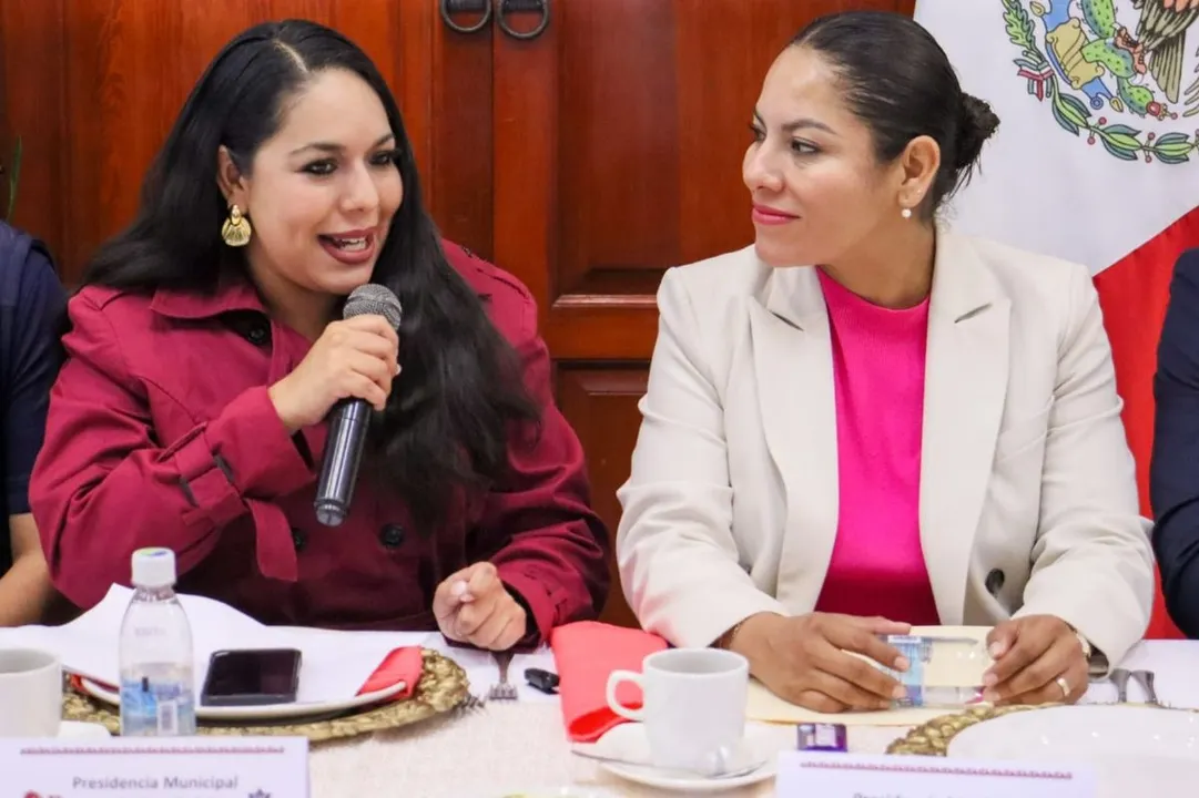 Tonantzin Fernandez Guadalupe Cuautle