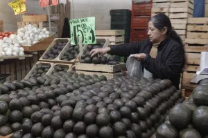 Inestable, precio del aguacate y limón: Sagarpa
