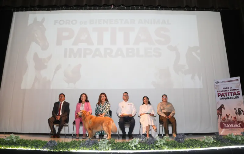 Foto: Especial