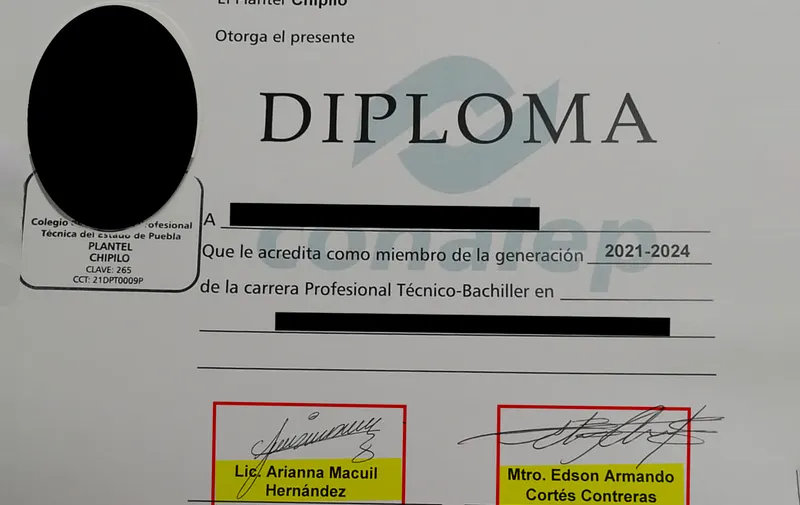 Imagen del artículo