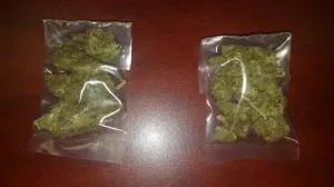 Caen hombres relacionados con venta de marihuana en universidades