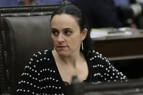 PAN demanda que se presenten pruebas sobre presuntas facturas apócrifas