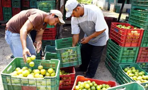 Puebla, la quinta ciudad más cara del país: INEGI
