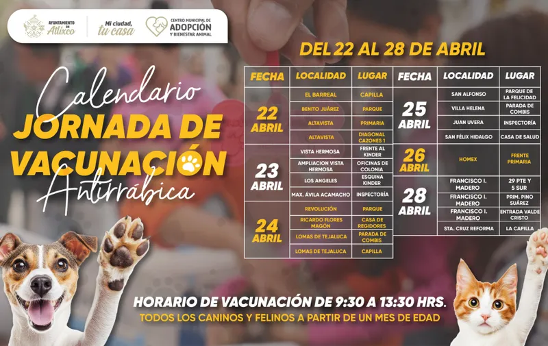 Imagen del artículo