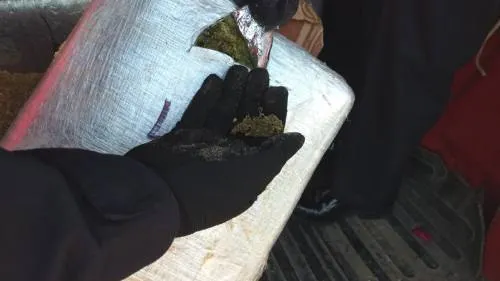 PF decomisó 137 kilos de marihuana en la autopista México-Puebla en la caseta de peaje