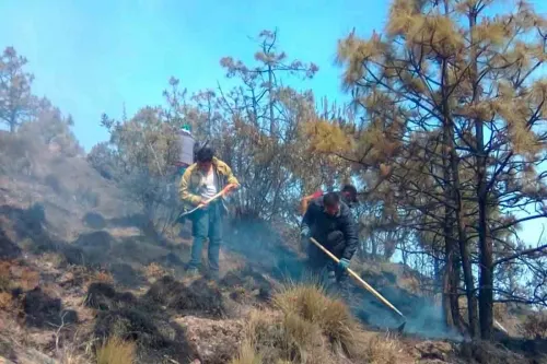 Controlado al 70 por ciento incendio en el cerro de ‘El Cacique’