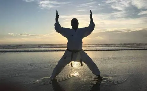 Llegará el ansiado debut del karate en Tokio 2020