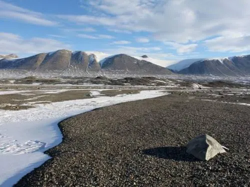 El cambio climático amenaza la vida en el desierto más frío del mundo