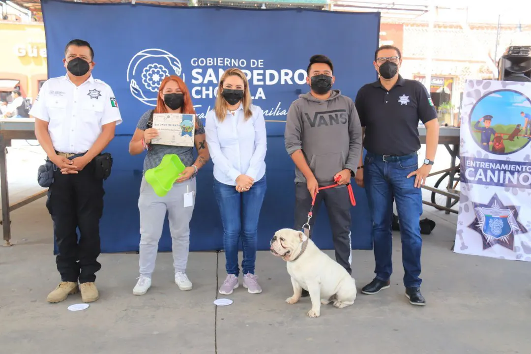 SP Cholula taller canino