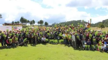 Ayuntamiento de Zacatlán cierra jornadas de reforestación