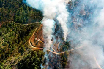 Puebla, sin incendios forestales activos; ayer fueron sofocados seis: Céspedes Peregrina