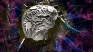 Científicos descubren cerca de 100 nuevas áreas en el cerebro