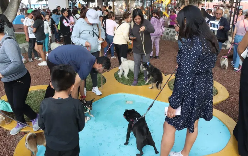 Ariadna Ayala inaugura el primer parque para mascotas en Atlixco 