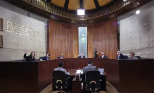 Invalida TEPJF multa al Verde por 11.4 mdp