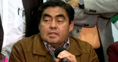 La grilla entre grillos