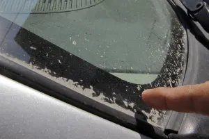 Descartan riesgos por caída de ceniza volcánica