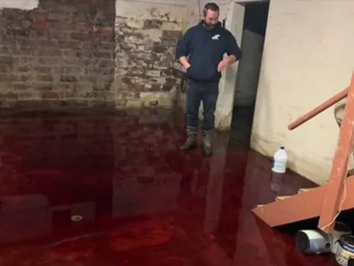 ¡Aterrador! Hombre descubre el sótano de su casa inundado con sangre