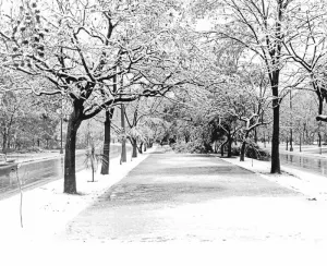 La última vez que se tapizó de un fino tul; hace 50 años nevó en la ciudad