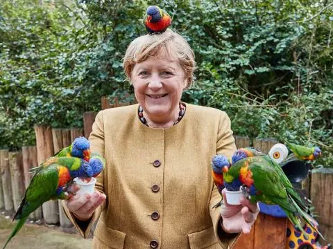 Merkel visita santuario de aves, es ‘mordida’ por loros y foto se hace viral
