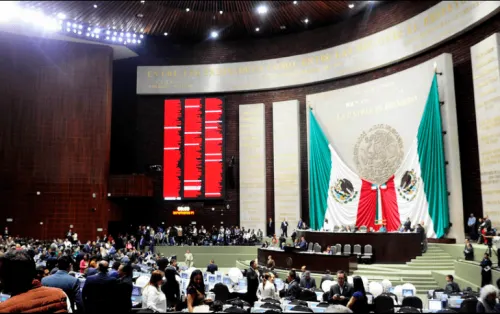 “Chapulines” del Congreso se alistan para el 2018