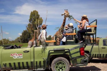 Africam Safari ofrece oportunidades laborales para los amantes de la fauna silvestre