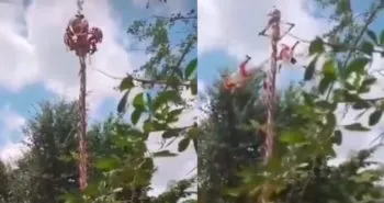 Voladores de Papantla caen de 10 metros de altura en Tihuatlán; fueron trasladados al hospital