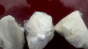 Seguridad Pública Estatal decomisó 258 dosis de droga