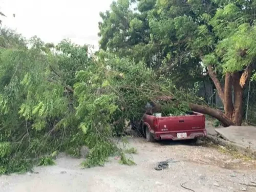 Frente Frío 23 causa destrozos en 5 municipios de Tamaulipas
