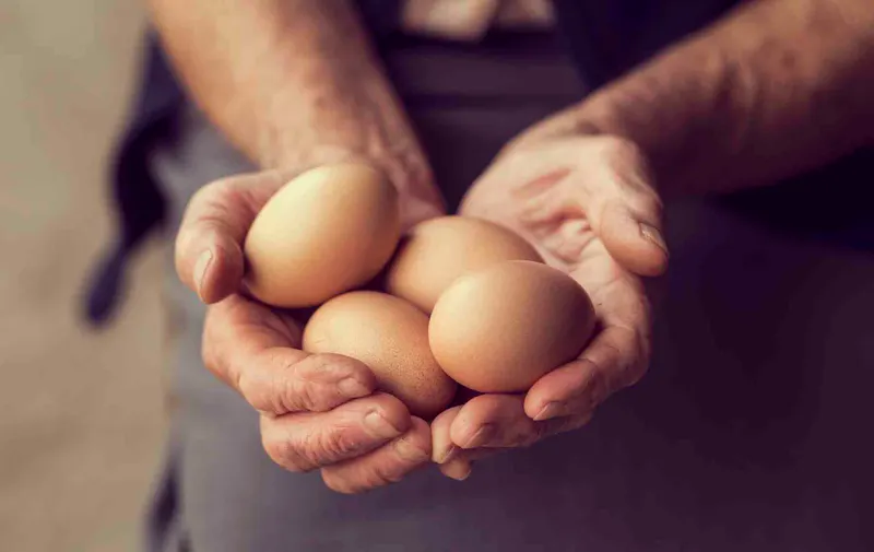 Huevo, un alimento sano y nutritivo