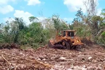 Tren Maya: ordena juez suspensión definitiva de las obras del tramo 5