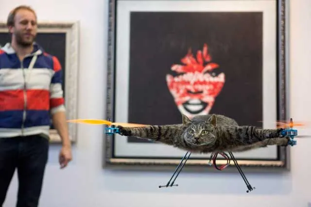 Artista holandés lleva a su gato muerto al cielo