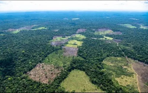 Bolsonaro elimina Ministerio de Medio Ambiente; pone la Amazonía en riesgo
