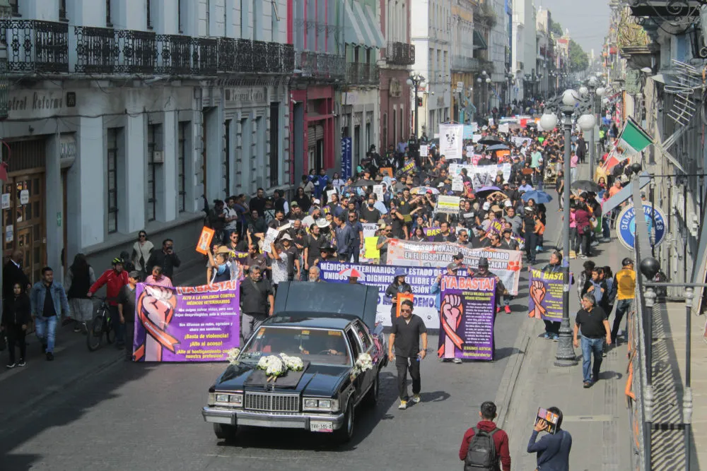 manifestación