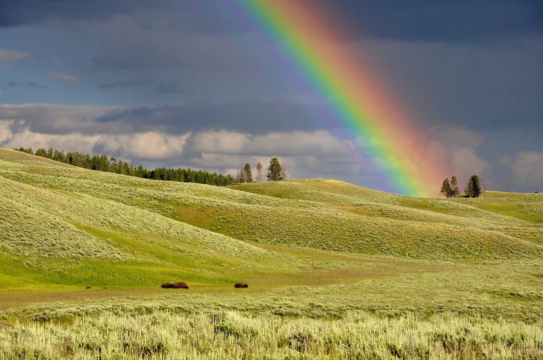 arcoiris